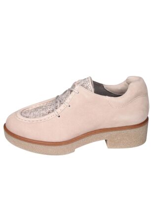 Softwaves 9.23.01 Liz