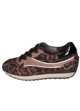 Softwaves 9.32.05 Denis