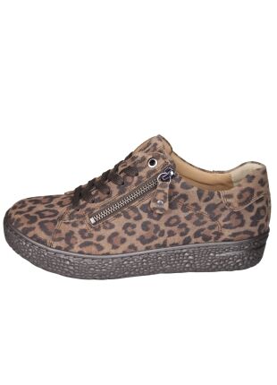 Hartjes Phil 162.1401/40