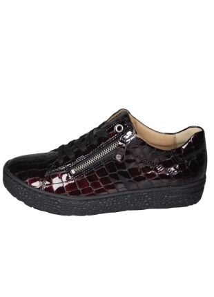 Hartjes Phil 162.1402/69