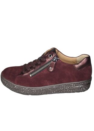 Hartjes Phil 162.1431/31